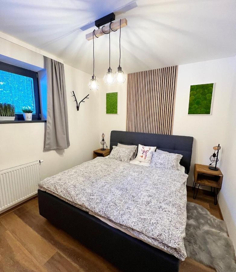 U Jelena Harrachov - Rodinny Apartman U Lesa S Garazi Extérieur photo