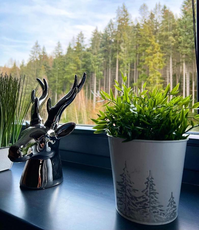 U Jelena Harrachov - Rodinny Apartman U Lesa S Garazi Extérieur photo